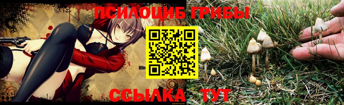 Галлюциногенные грибы GOLDEN TEACHER  Псилоцибиновые грибы Psilocybine cubensis  Вход с VPN  Ачинск 